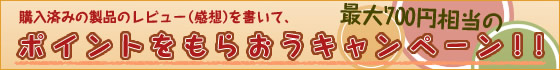 購入済みの製品のレビュー（感想）を書いて、最大700円相当のポイントをもらおうキャンペーン！！