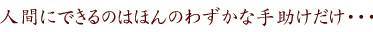 人間にできるのはほんのわずかな手助けだけ・・・